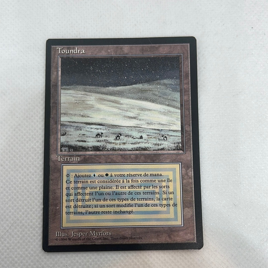 Tundra - Foreign Black Bordered FRENCH – Making Mythic