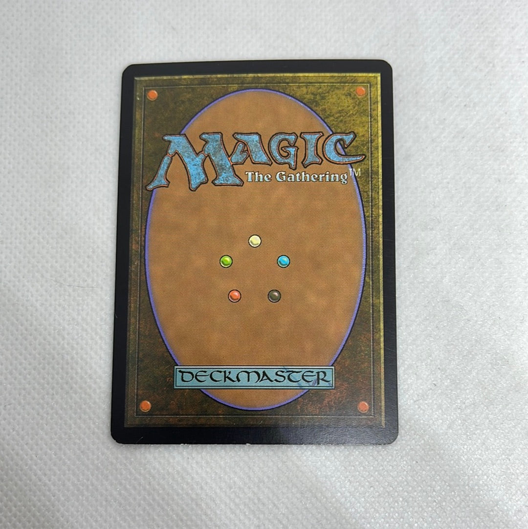 Leaf-Crowned Elder - Morningtide