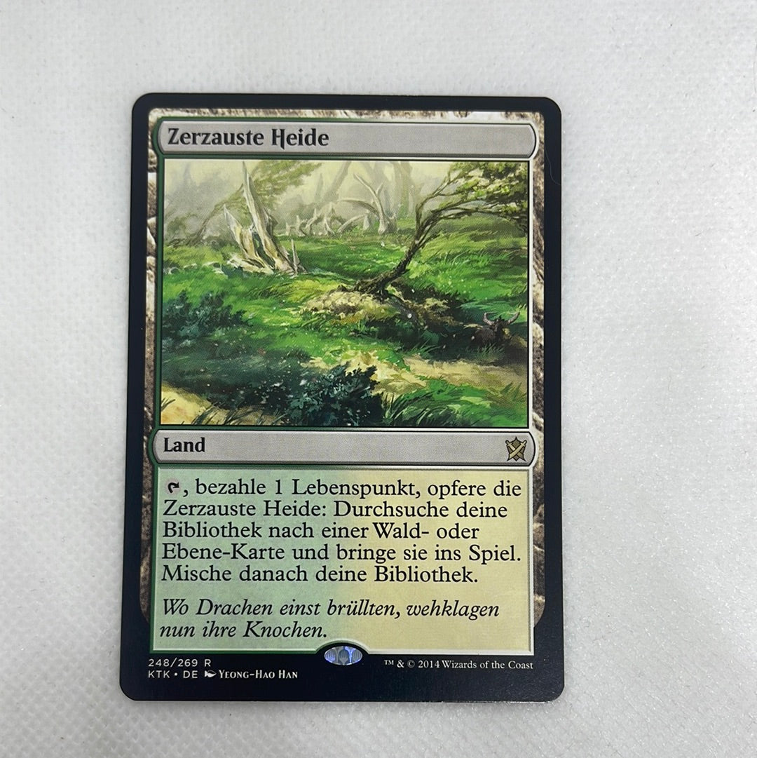 Windswept Heath (GERMAN) - Khans of Tarkir