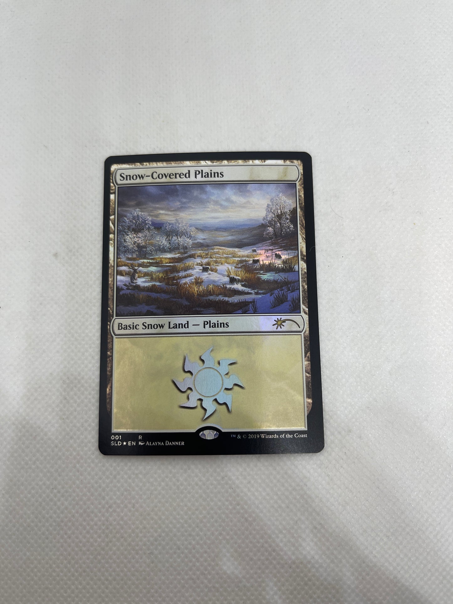Snow-Covered Plains - Secret Lair FOIL #001