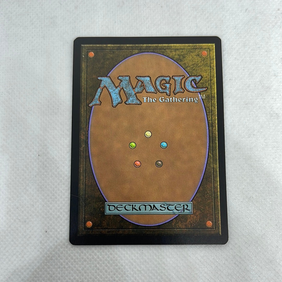 Coat of Arms - Magic 2010