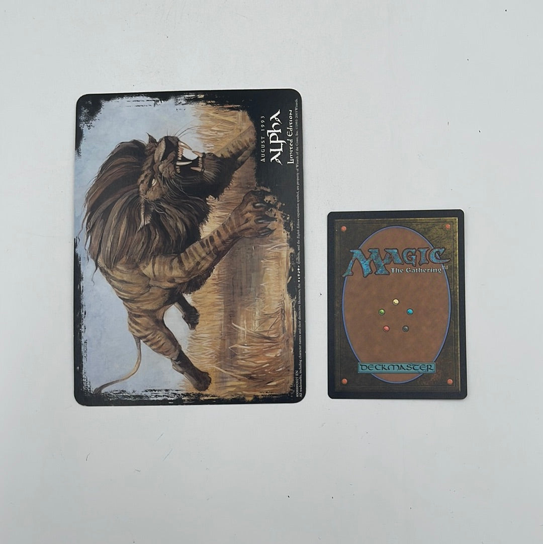 Savannah Lions Over-Sized Card