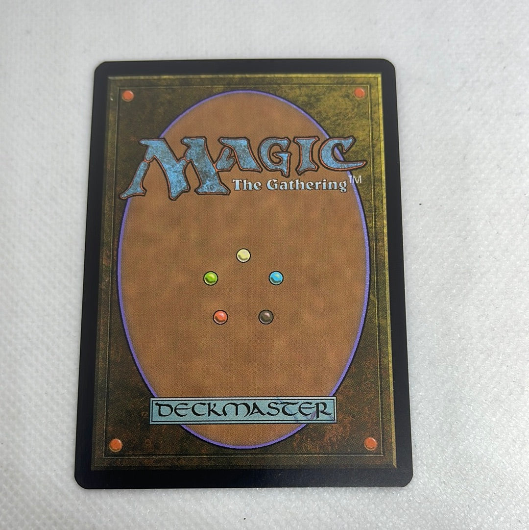 Misty Rainforest - Zendikar