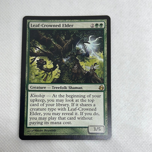 Leaf-Crowned Elder - Morningtide