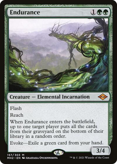 Endurance - Modern Horizons 2 - 157 - FOIL