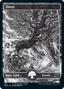 Forest (Moonlit Land) (Foil Etched) - WPN & Gateway Promos - 412