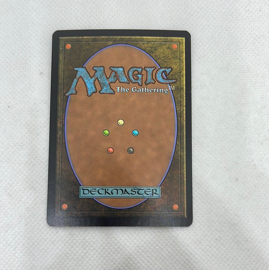Auriok Champion - Fifth Dawn FOIL