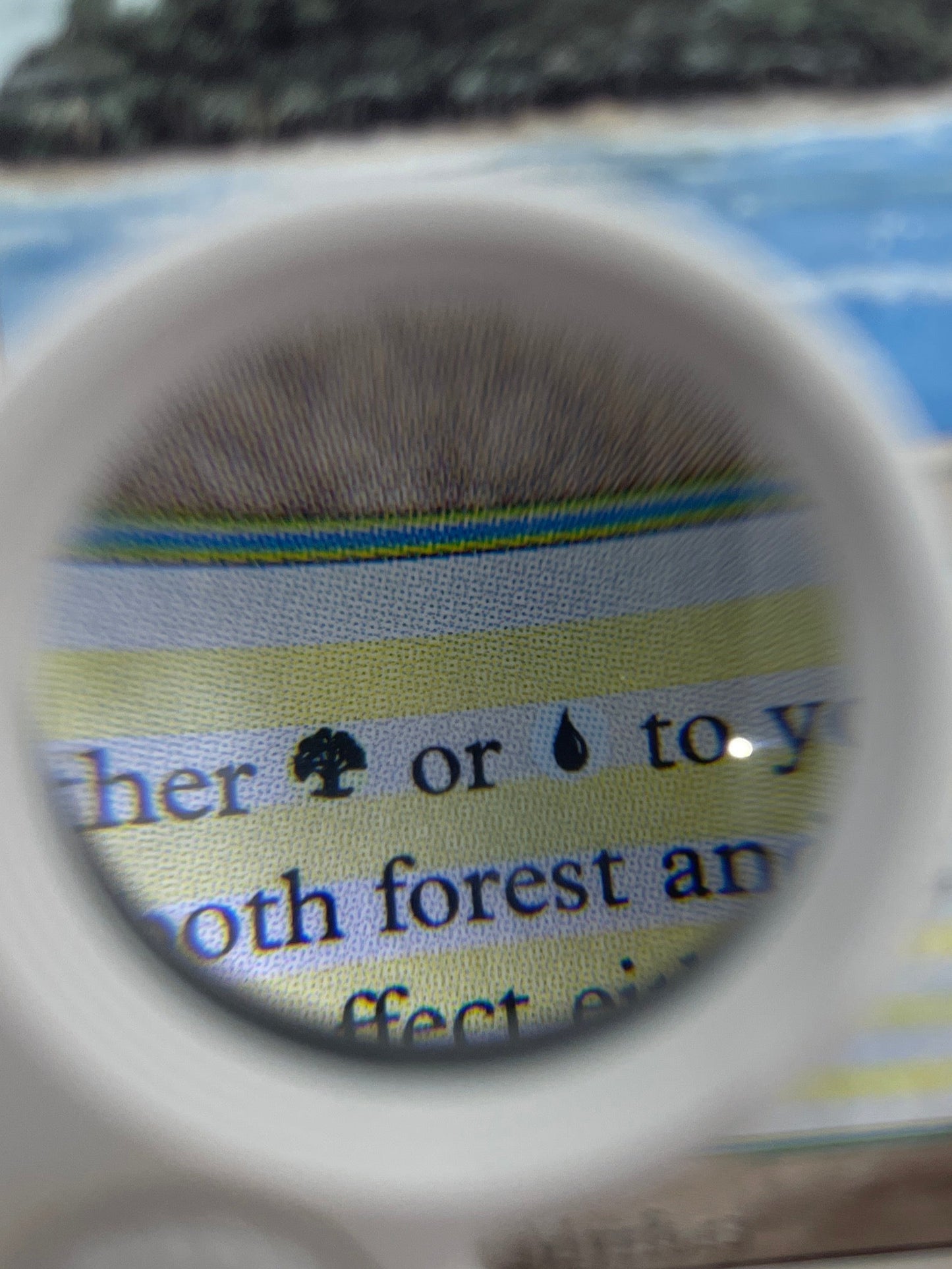 Magnifying glass over a book with text and a picture of trees.
