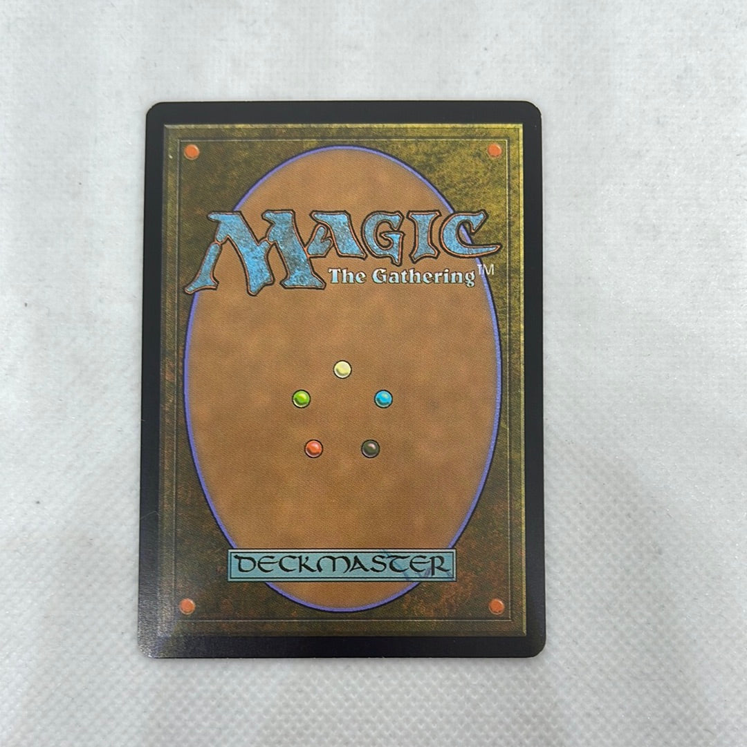 Verdant Catacombs - Zendikar