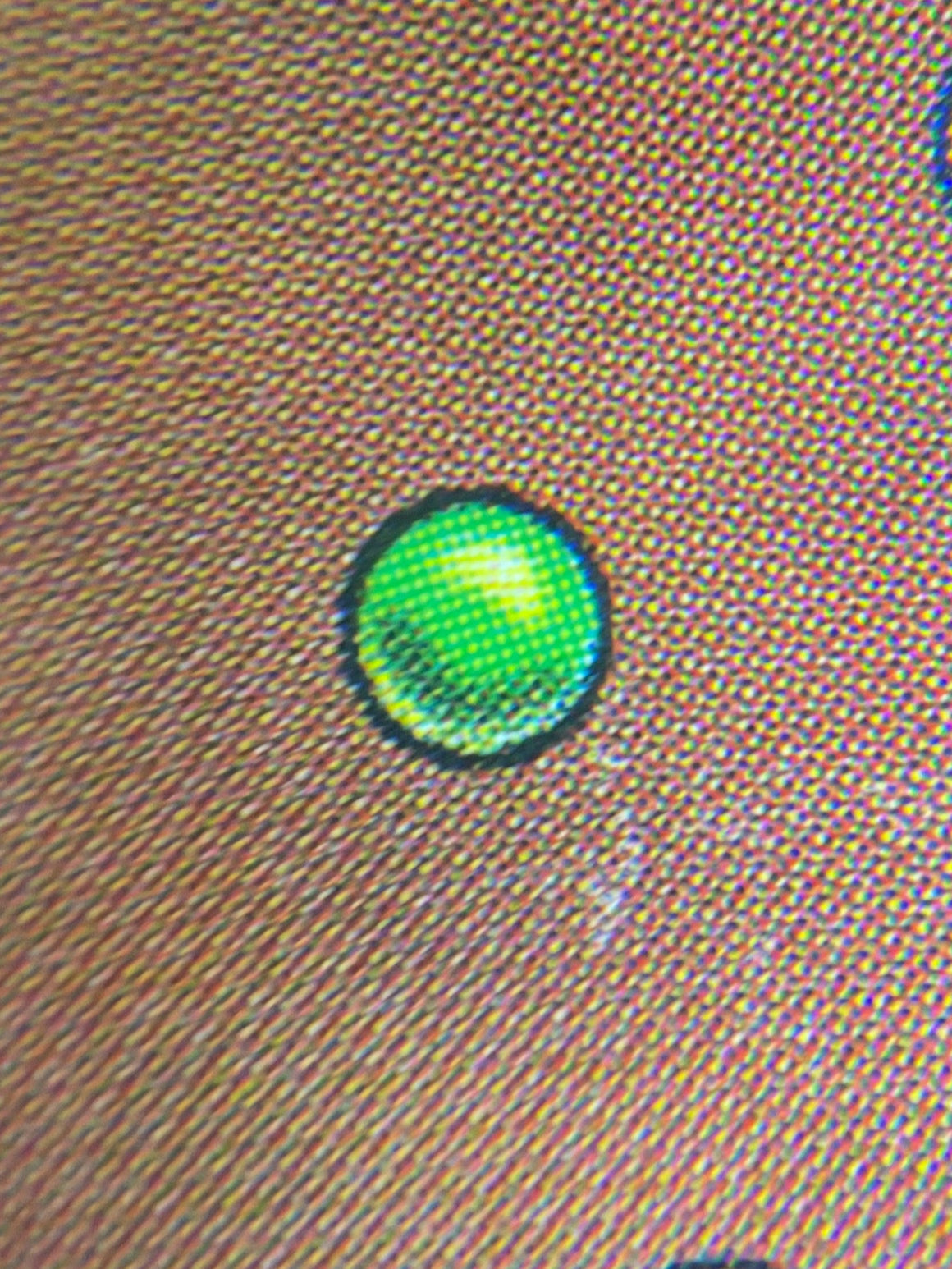 Close-up of a textured surface with colored circular patterns.