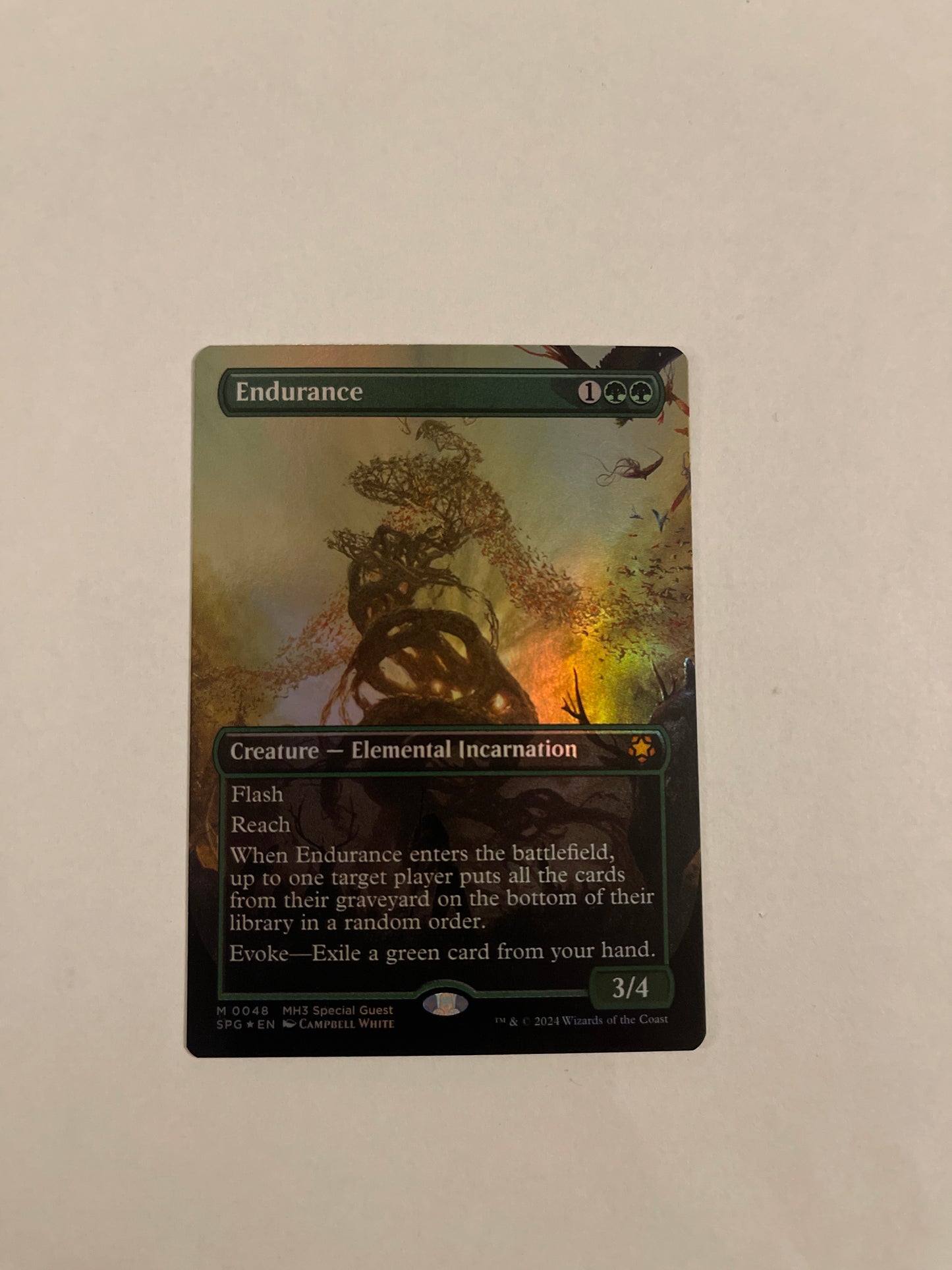 Endurance - Modern Horizons 3 Special Guest 048 BORDERLESS FOIL